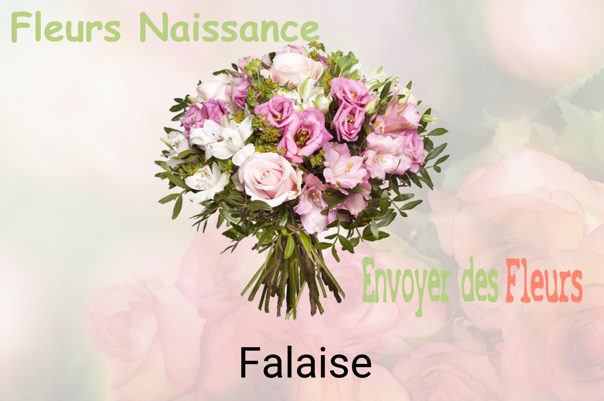 Bouquet de fleurs de naissance livré à Falaise